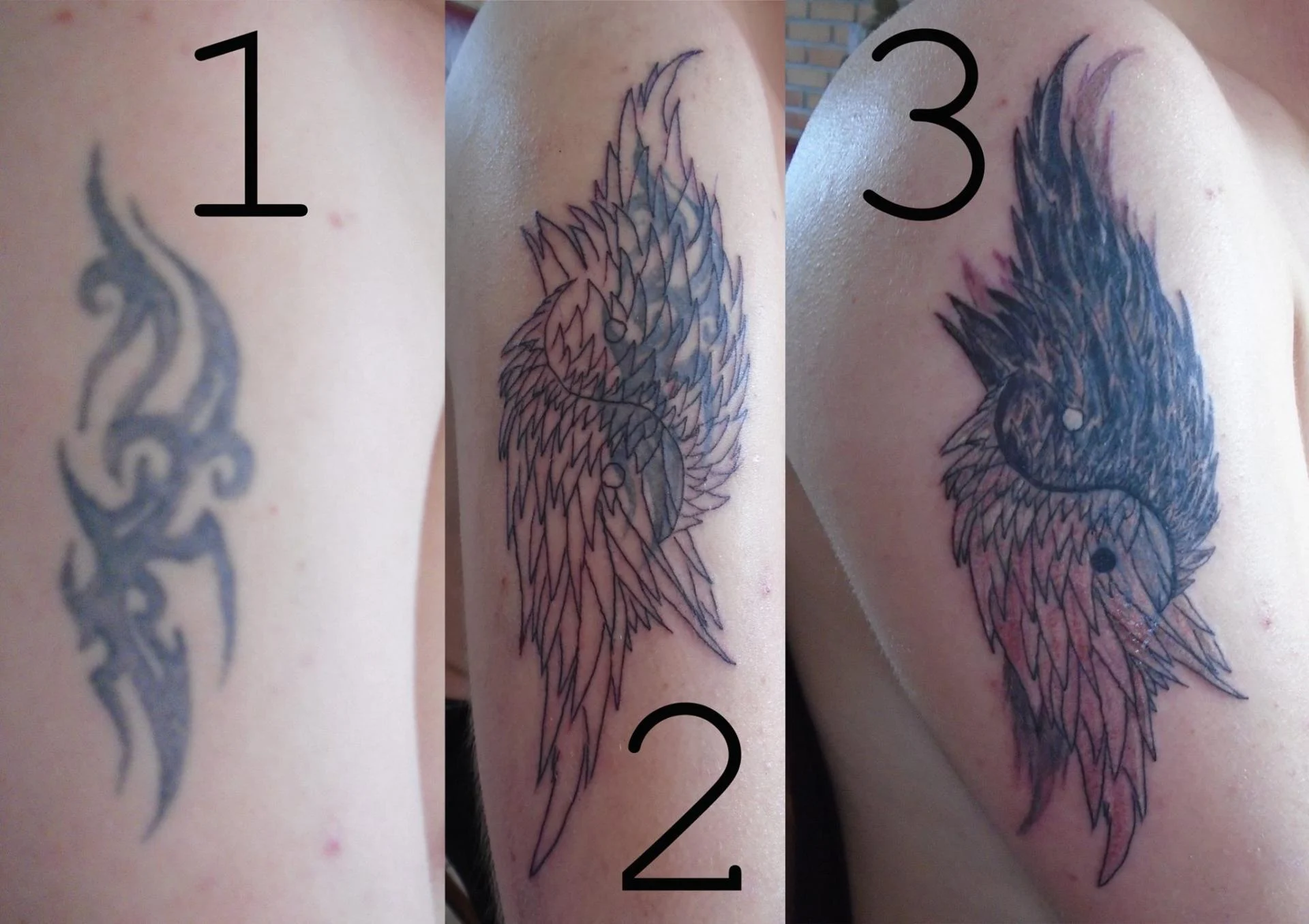 481071254 639105688767780 6691963813644572075 n